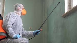 Best Mold Prevention Services  in Beverly Hills, FL